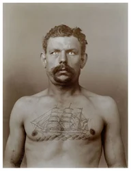 Homme tatoué, vers 1898